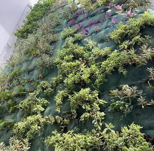 Petite Ciudad De Apartamento México DF